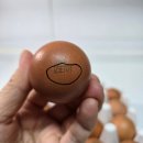 양계장 청년유정란 20구 구매후기