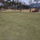 청통골프장 | [ 골프장 도장 찍기 41 ] 골프존카운티 청통cc / 쉽지 않은 코스 구성! 2부티 라운드 후기