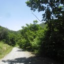 산약초와 산행 이미지