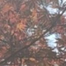 굿플러스치과의원 이미지