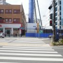 다이소 건너편 횡단보도 이미지