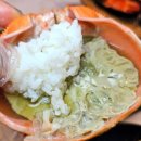 먹자대게 - 속초시 | 속초 대포항 대게 맛집 찾는다면? 먹자대게 내돈내산 솔직후기! 게살이 꽉 찼다