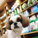 서진동물병원 이미지