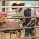 박형진농장 이미지