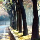 강사랑펜션 | 2018.10.13.거창중앙고등학교 재경30회 2학년7반 반창회 후기