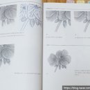 보타니컬아트 (중급) 이미지