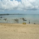 하모해수욕장 이미지