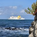 제주밥보장터 이미지