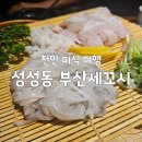 부산세꼬시성성점 - 20960 | [내돈내산] 천안 성성동 '부산세꼬시' 세트A: 뼈째 썰어먹는 회와 겉바속촉 열기구이의 완벽한 조합