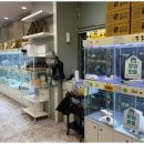 드림독 강아지분양 안심분양센터 부천점 이미지