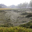 만경농장1 이미지