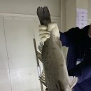 안중락실내바다낚시터 이미지
