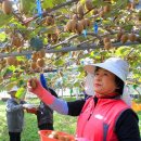 봉현농장 이미지