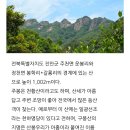 11월9일(일요일)명산순례👀 이미지