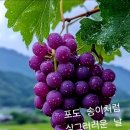 2026년 7월 29일 수요일 제주방 출석부 이미지