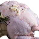 징기스칸치킨 이미지