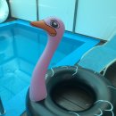 슐라프라움 풀빌라 이미지