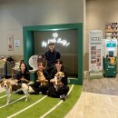 놀다가시개 이미지