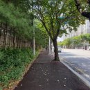 안흥초 사거리 이미지