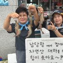 대하로 이미지