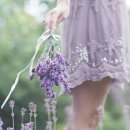 우리집에 놀러와 이미지