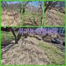 성립농장 이미지