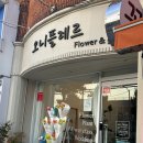 동아대생들에게 추천하는 예쁜 하단 꽃집 오니플레르에 다녀왔어요! 가성비 꽃집으로 한송이다발, 콘다...