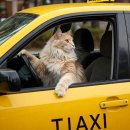 구로-공단-구로-91 이미지