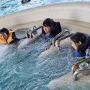 캠프도고 이미지