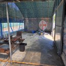 비봉농장 이미지