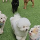 스토리24시 이미지