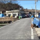 쇳골로 이미지