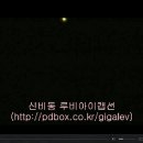 피237