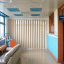 솔개초등학교 이미지