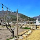 동산유리 이미지