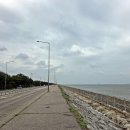 매향리 평화생태공원 이미지