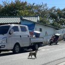 미리네 앞 이미지