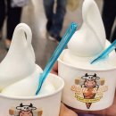 [벡스코 전시회] 부산 커피쇼