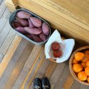 부산 광안리 아늑한 트리 카페 삐에드라 방문기