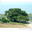 남해-299 이미지