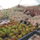 둘리농장 이미지