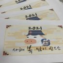 용인대 태풍태권도 이미지