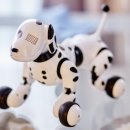 황기호정형외과의원 | 골절후 빠른 회복을위해 관리하는 방법