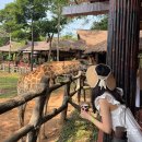 동산기사식당 | 베트남 푸꾸옥 빈펄 사파리 최적 동선 꿀팁 | 내돈내산 | 기린식당 | 카피바라 | 주트램 | Vip투어