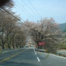 섬진강제첩국 이미지