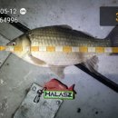 오목낚시터(신창낚시터) 이미지