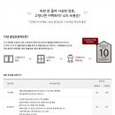 호동로 이미지
