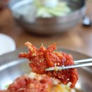 코다리냉면 이미지