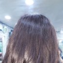 자르세헤어 이미지