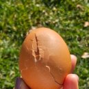 산장여인숙 이미지